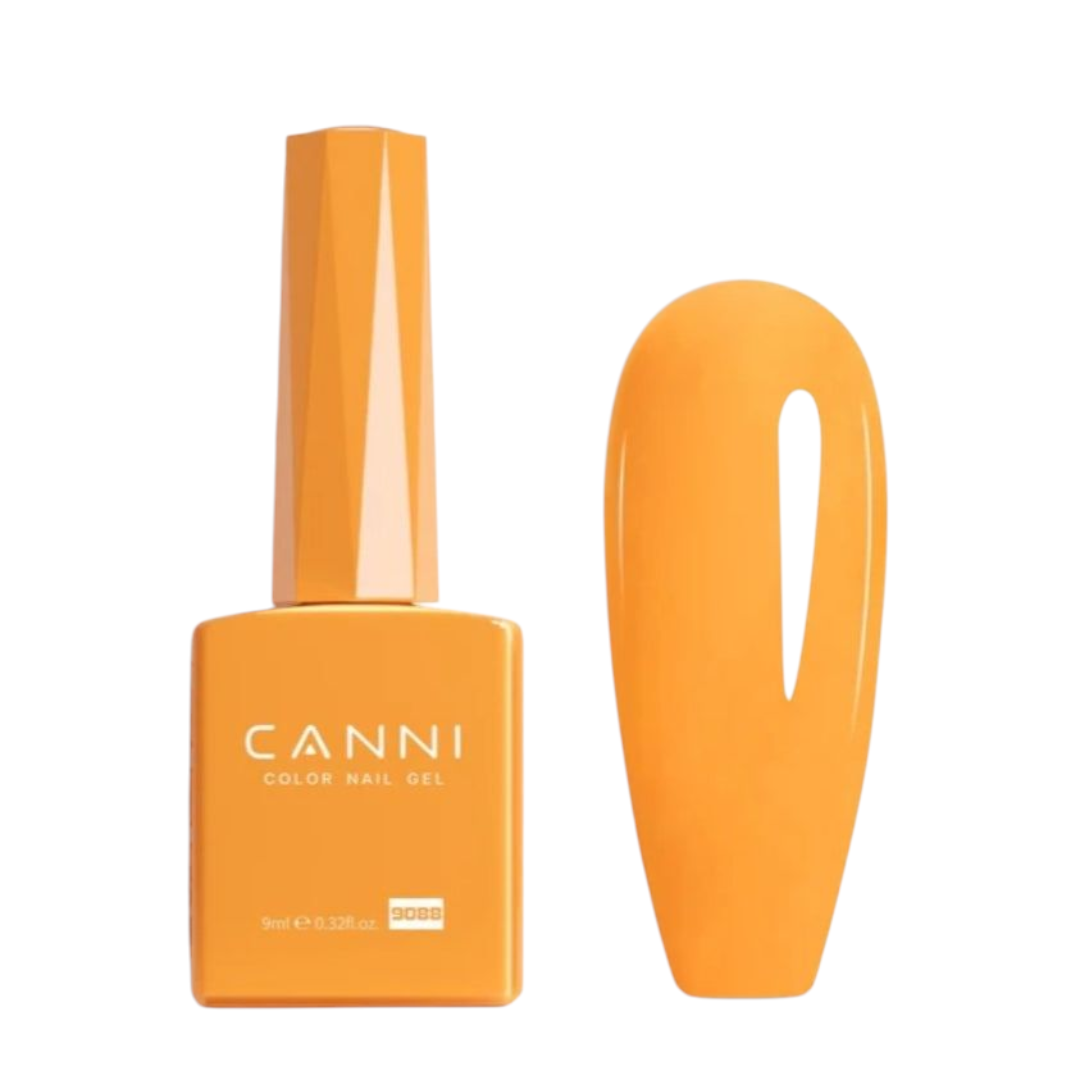 Kit Vernis CANNI 9ml 30pcs CC4