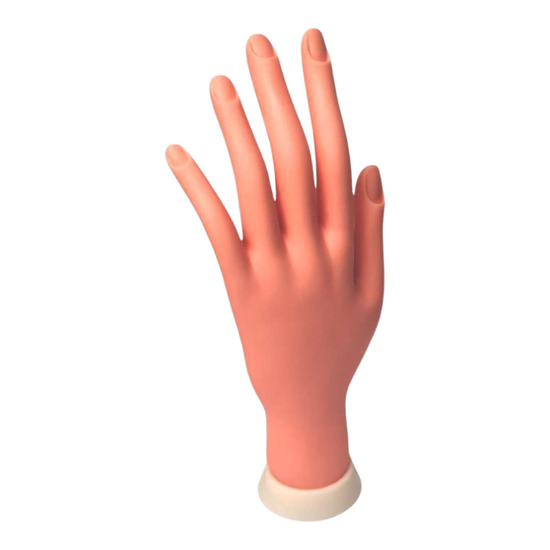 Main Plastique D'apprentissage